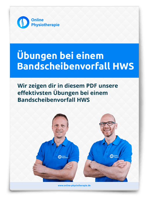 BSV HWS Deckblatt PDF ohne HG